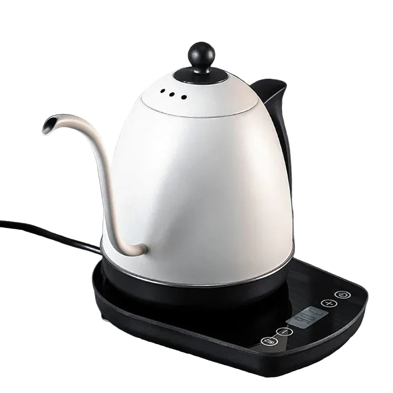 Bouilloire électrique 0,8 L à col de cygne avec maintien de température – versement précis pour café et infusion